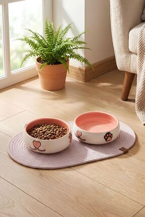 Pawicci 2'li Seramik Mama Kabı – Kedi ve Köpekler için Paspaslı Kaydırmaz Mam...