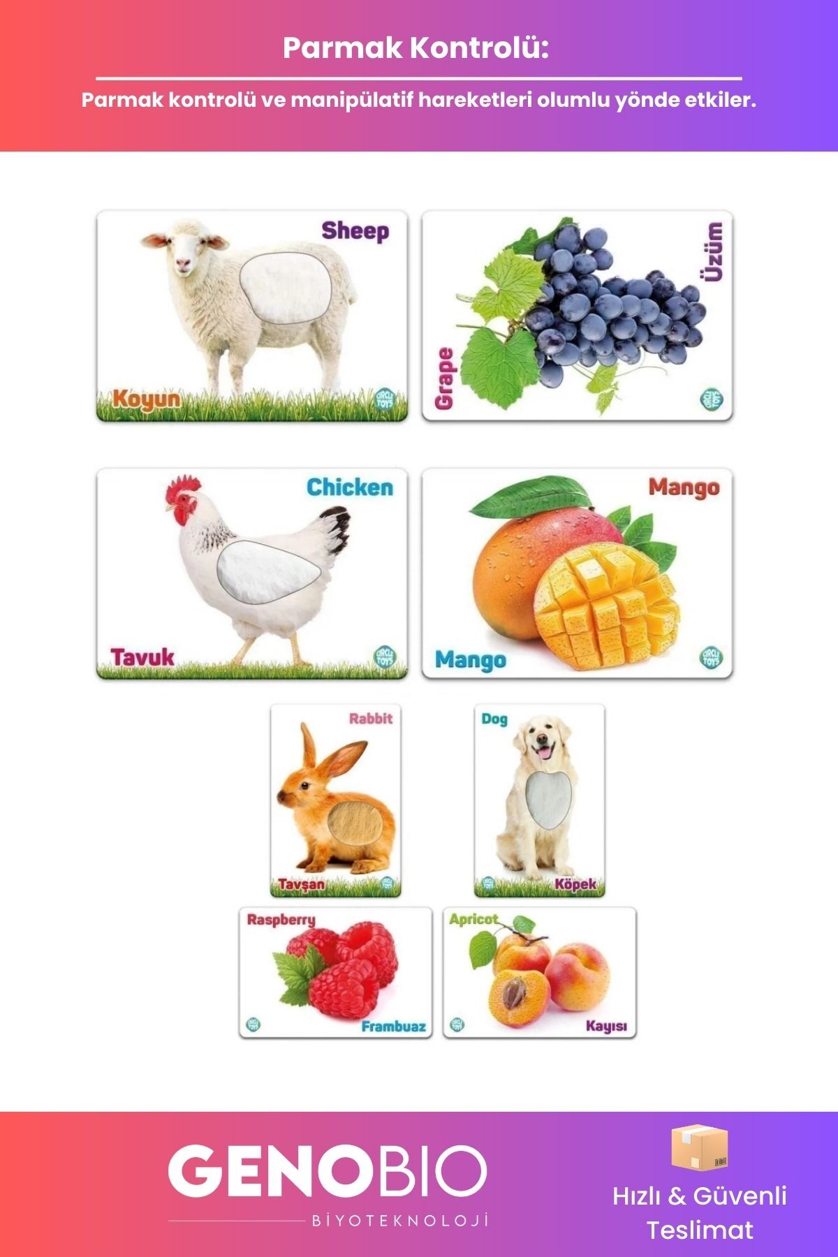 GenoBio Dokun Hisset Çiftlik Hayvanları Meyveler Eğitim Kartları Duyusal ve Dil Gelişim Çocuk Kart Seti fotoğrafı 3 (önizleme)