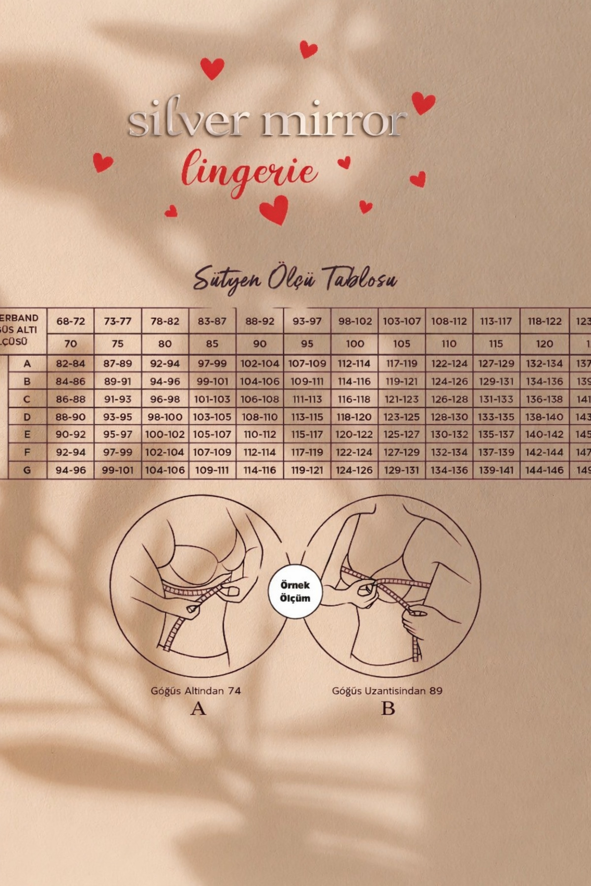 SİLVER MİRROR  desenli destekli sütyen takımı - Görsel 6