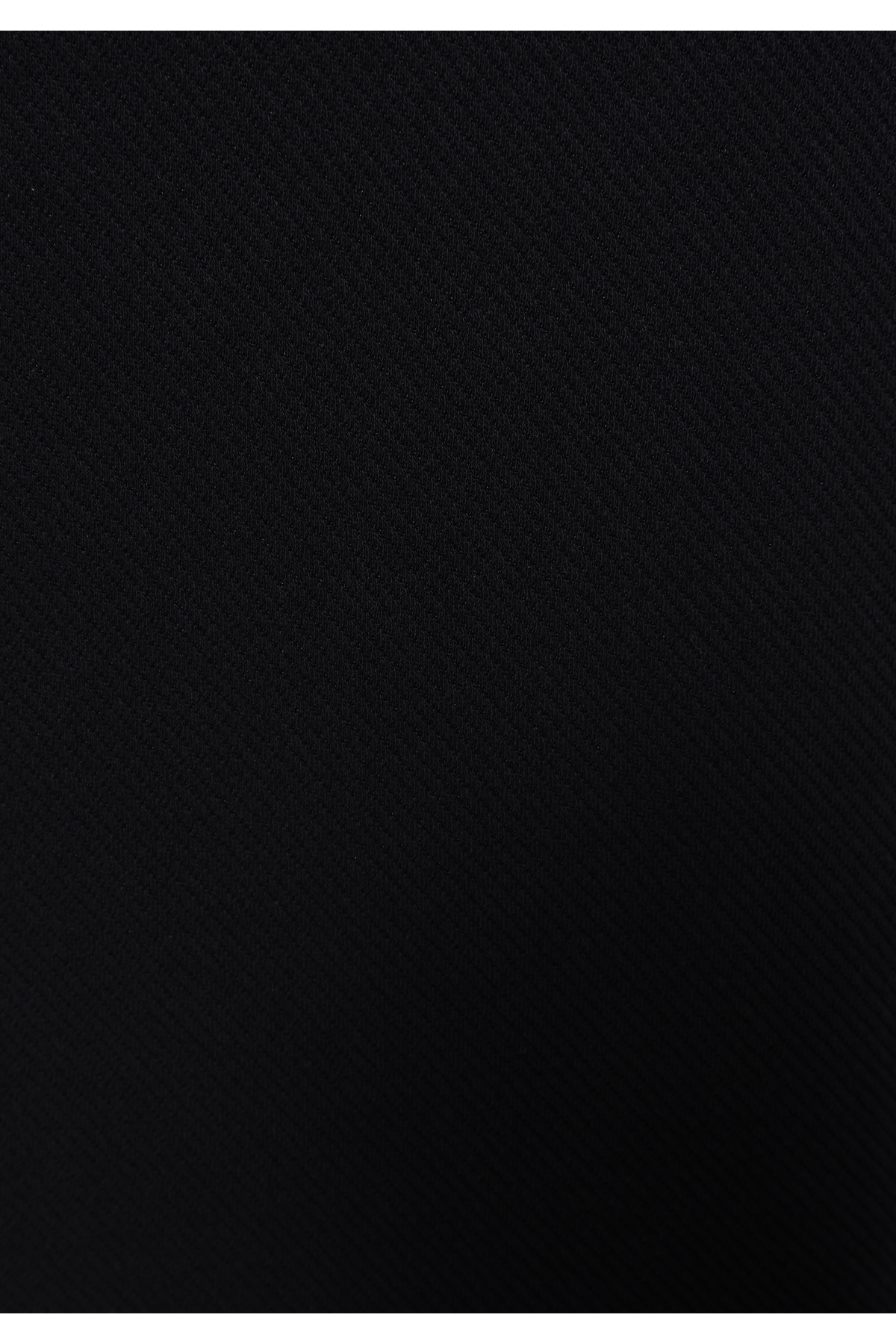 Colin’s  Regular Fit Erkek Siyah Ceket - Görsel 5