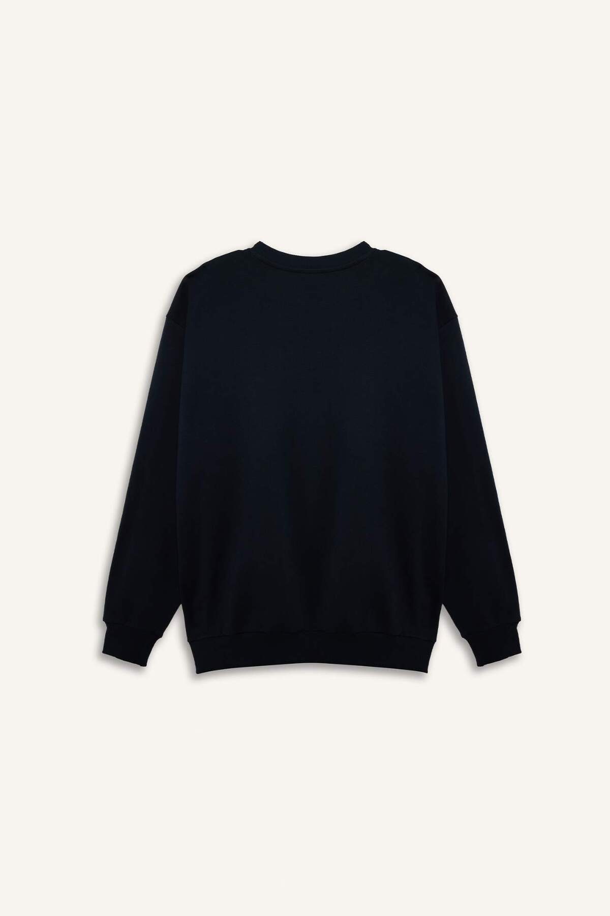 DeFacto Pamuklu Boxy Fıt Büyük Beden Bisiklet Yaka Pike Sweatshirt H1001AX26SP görsel 3