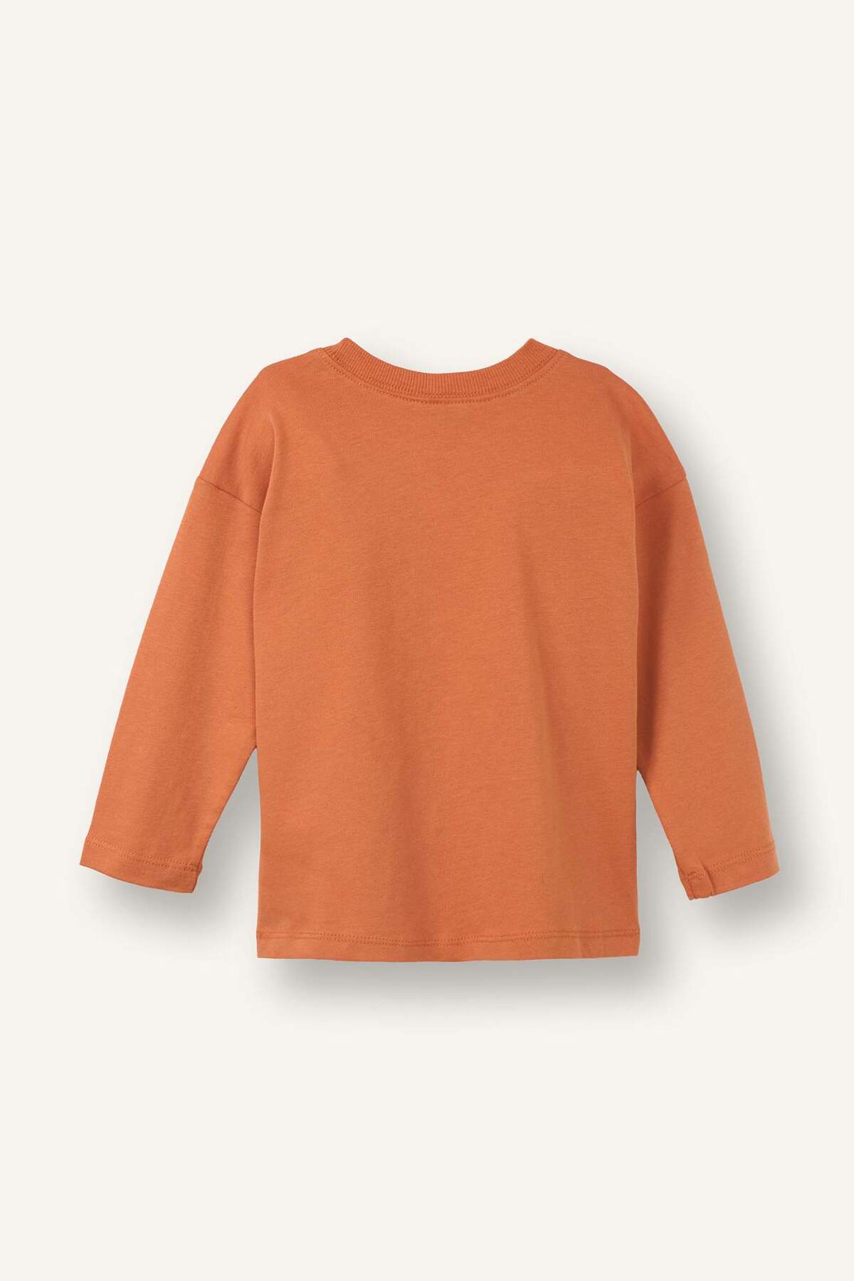 Defacto Long Sleeve T-Shirt (26 SP) fotoğrafı 4 (önizleme)