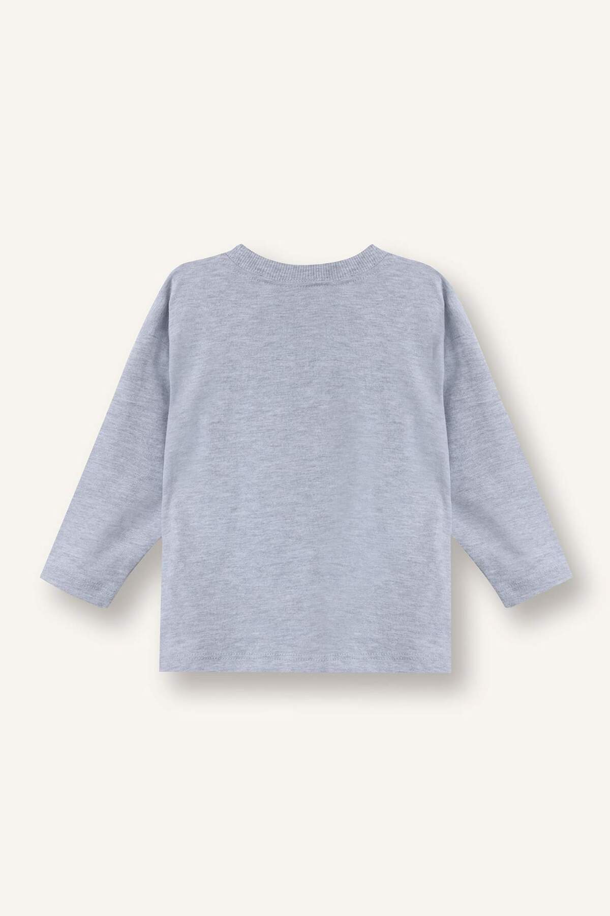 Defacto Oversize Baskılı 2'li Uzun Kollu Tişört Erkek Bebek G5908A526SP fotoğrafı 4 (önizleme)