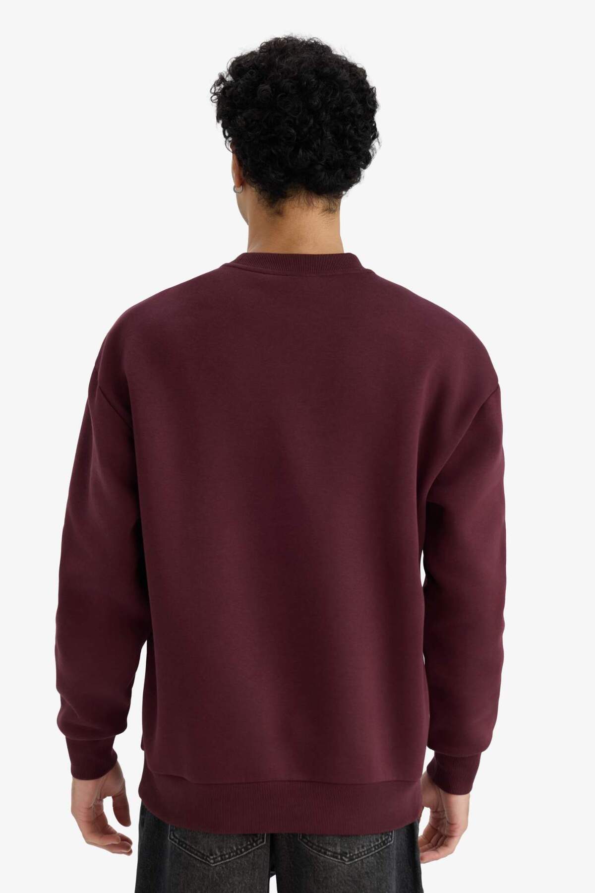 DeFacto Boxy Fit Bisiklet Yaka İçi Yumuşak Tüylü Baskılı Sweatshirt X8282AZ25AU görsel 6