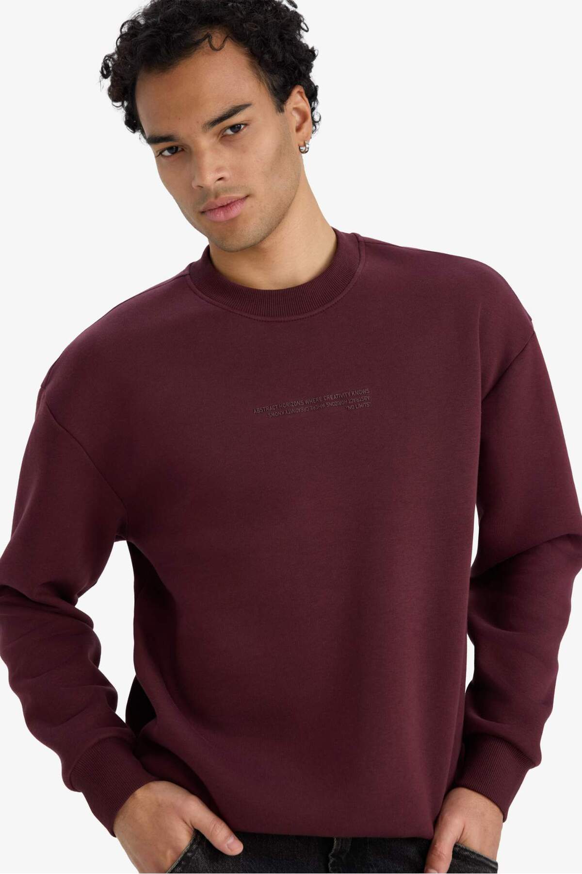 DeFacto Boxy Fit Bisiklet Yaka İçi Yumuşak Tüylü Baskılı Sweatshirt X8282AZ25AU görsel 4