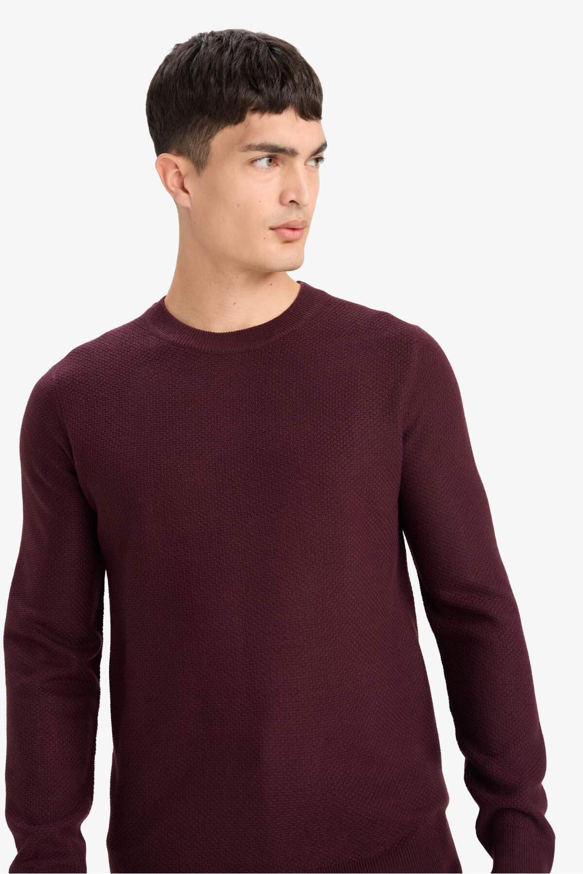DeFacto Standart Fit Bisiklet Yaka Basic Dokulu Triko Kazak F1777AX25AU görsel 3