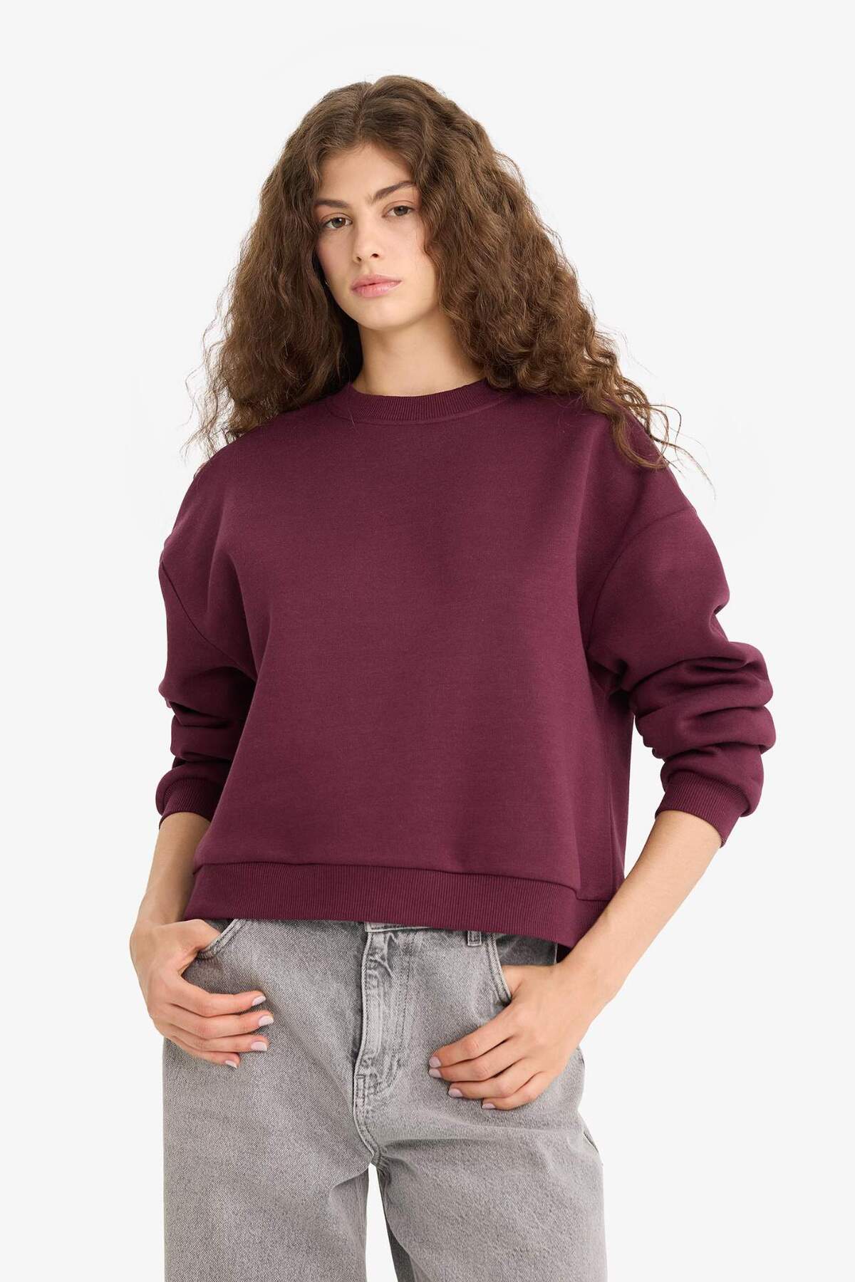 Defacto  Regular Fit Bisiklet Yaka Kalın Basic Düz Sweatshirt D6645AX25WN - Görsel 3