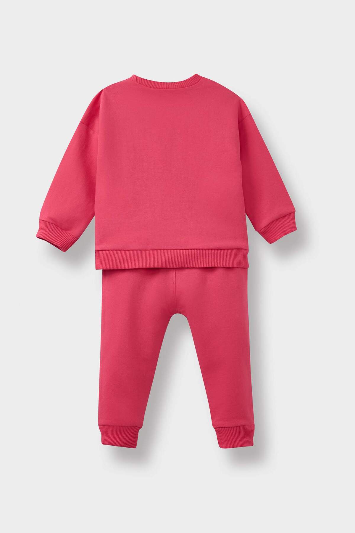 Defacto 2li Takım Çiçekli Sweatshirt Eşofman Altı Kız Bebek E8993A525AU fotoğrafı 4 (önizleme)