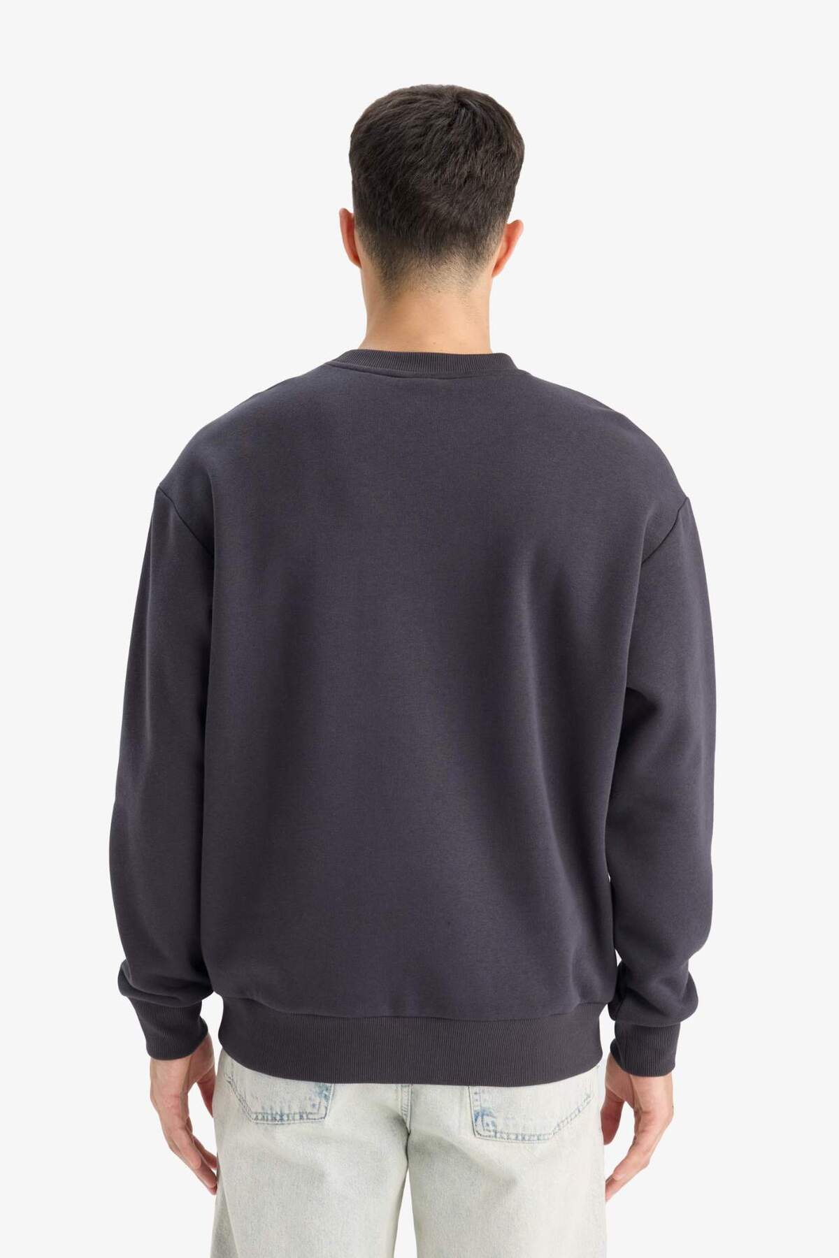 Defacto  Relax Fit Bisiklet Yaka Kalın İçi Yumuşak Tüylü Basic Düz Sweatshirt T5139AZ25AU - Görsel 6