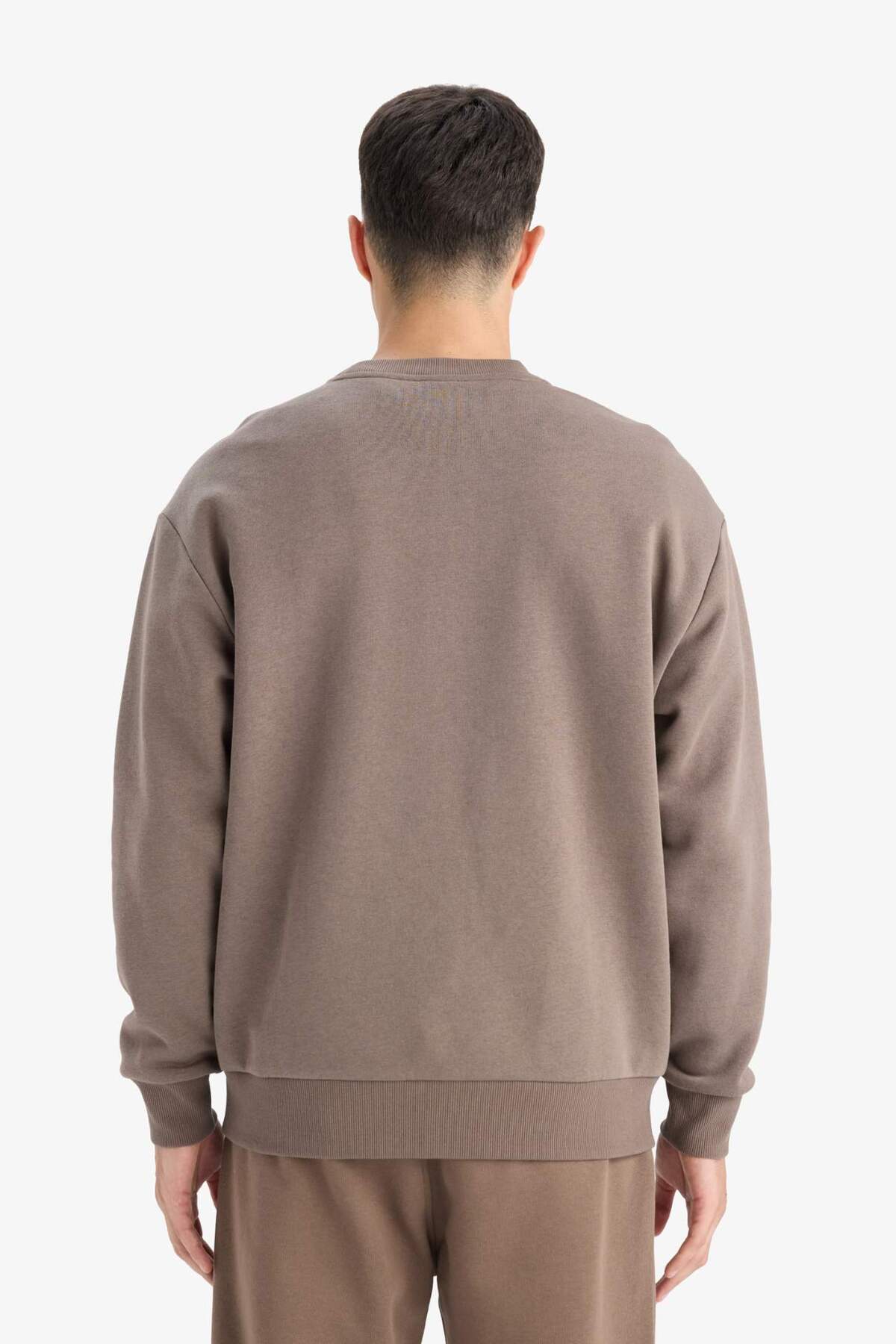 DeFacto Relax Fit Bisiklet Yaka Kalın İçi Yumuşak Tüylü Basic Düz Sweatshirt T5139AZ25AU görsel 6