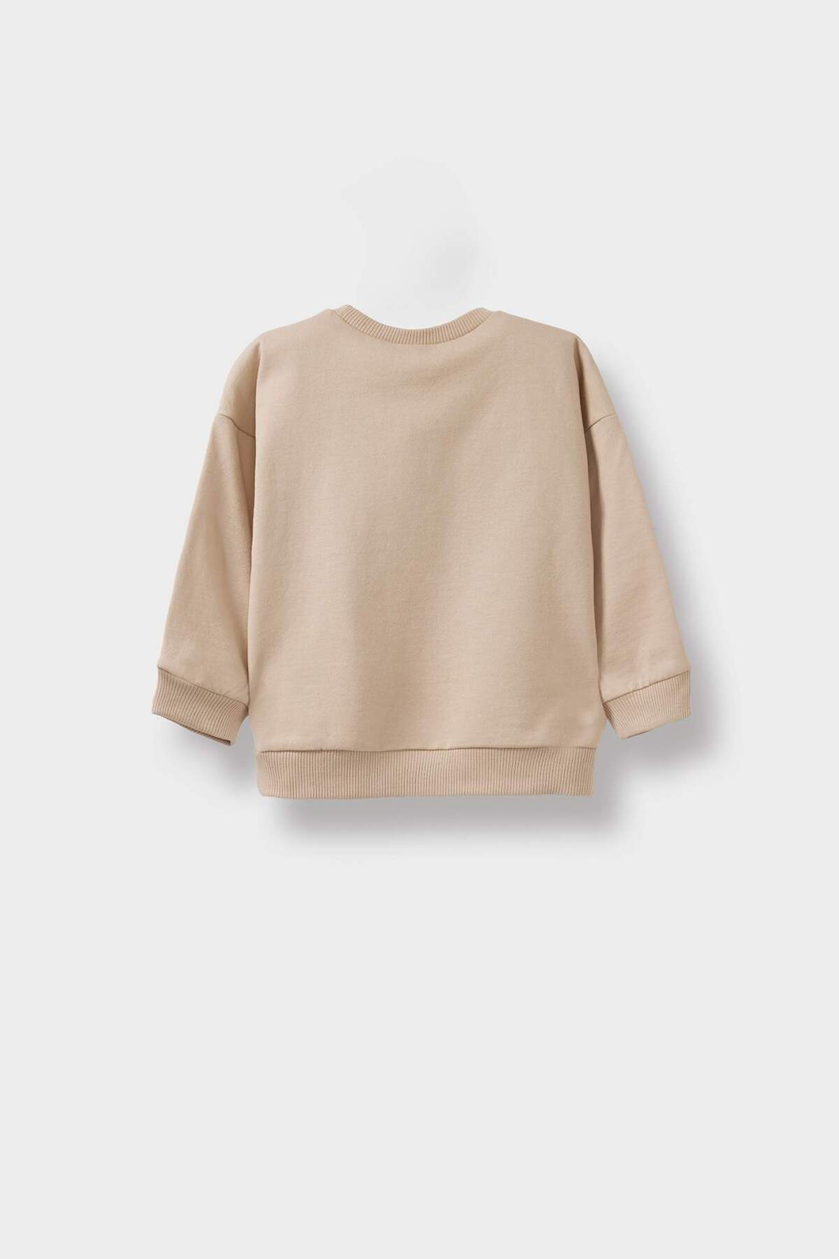 Defacto Bisiklet Yaka Baskılı İçi Yumuşak Tüylü 2'li Sweatshirt Erkek Bebek F3463A525WN fotoğrafı 4 (önizleme)