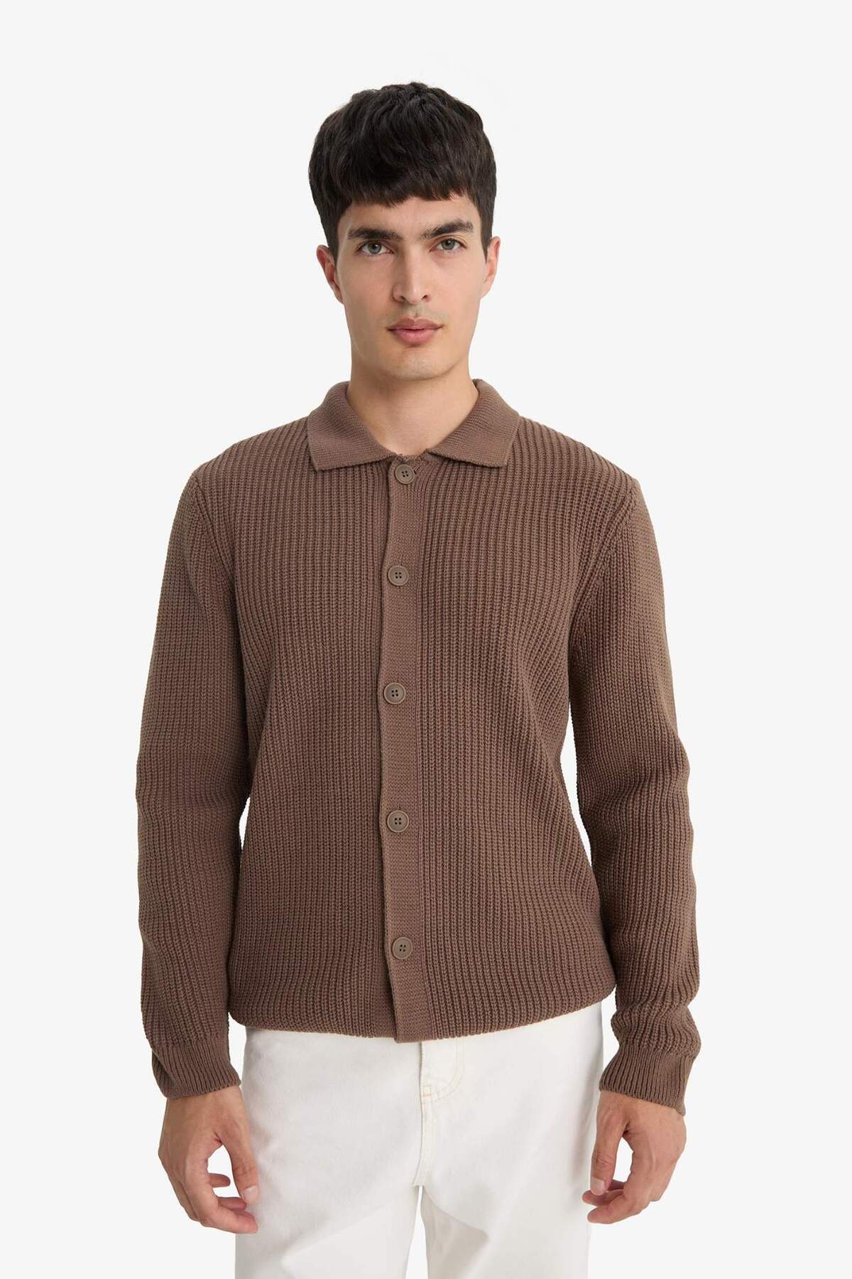 DeFacto Standart Fit Polo Yaka Düğmeli Triko Hırka E8397AX25CW görsel 4