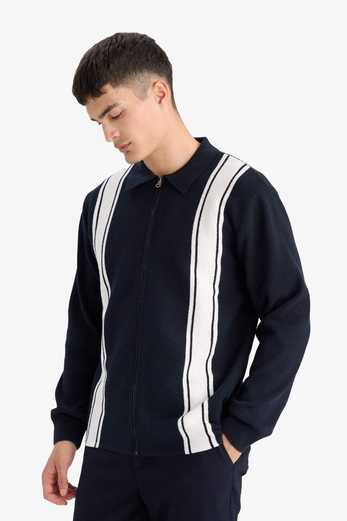 DeFacto Standart Fit Polo Yaka Fermuarlı Çizgili Triko Hırka F4981AX25AU görsel 4