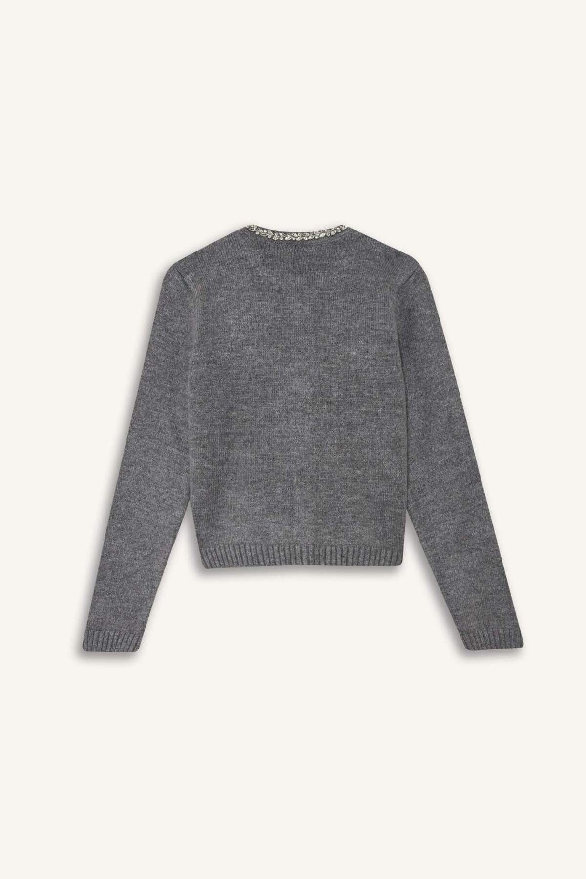 Defacto  Regular Fit Bisiklet Yaka İşlemeli Triko Hırka F3896AX25WN - Görsel 7