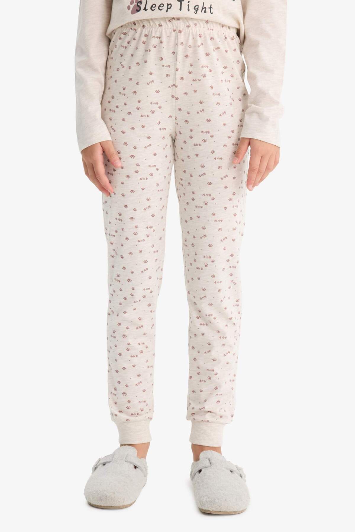 Defacto Pijama Takımı Köpek Baskılı Uzun Kollu Üst Desenli Uzun Alt Kız Çocuk F1084A825AU fotoğrafı 6 (önizleme)