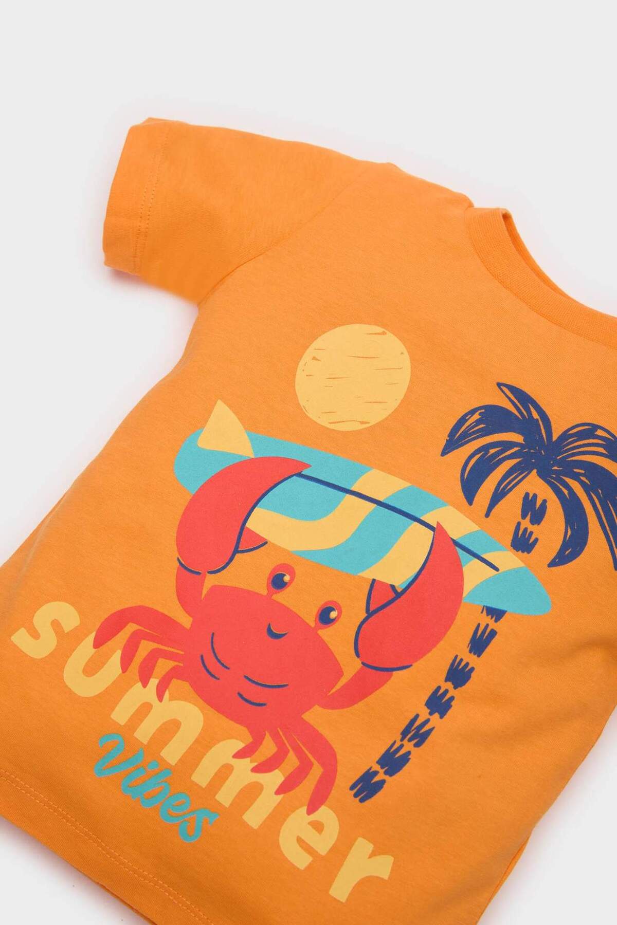 Defacto 2'li Takım Yengeç Baskılı Kısa Kollu Tişört Beli Lastikli Deniz Şortu Erkek Bebek E3521A525SM fotoğrafı 5 (önizleme)