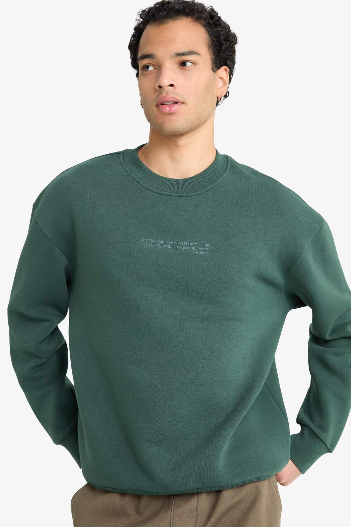 DeFacto Boxy Fit Bisiklet Yaka İçi Yumuşak Tüylü Baskılı Sweatshirt X8282AZ24AU görsel 2