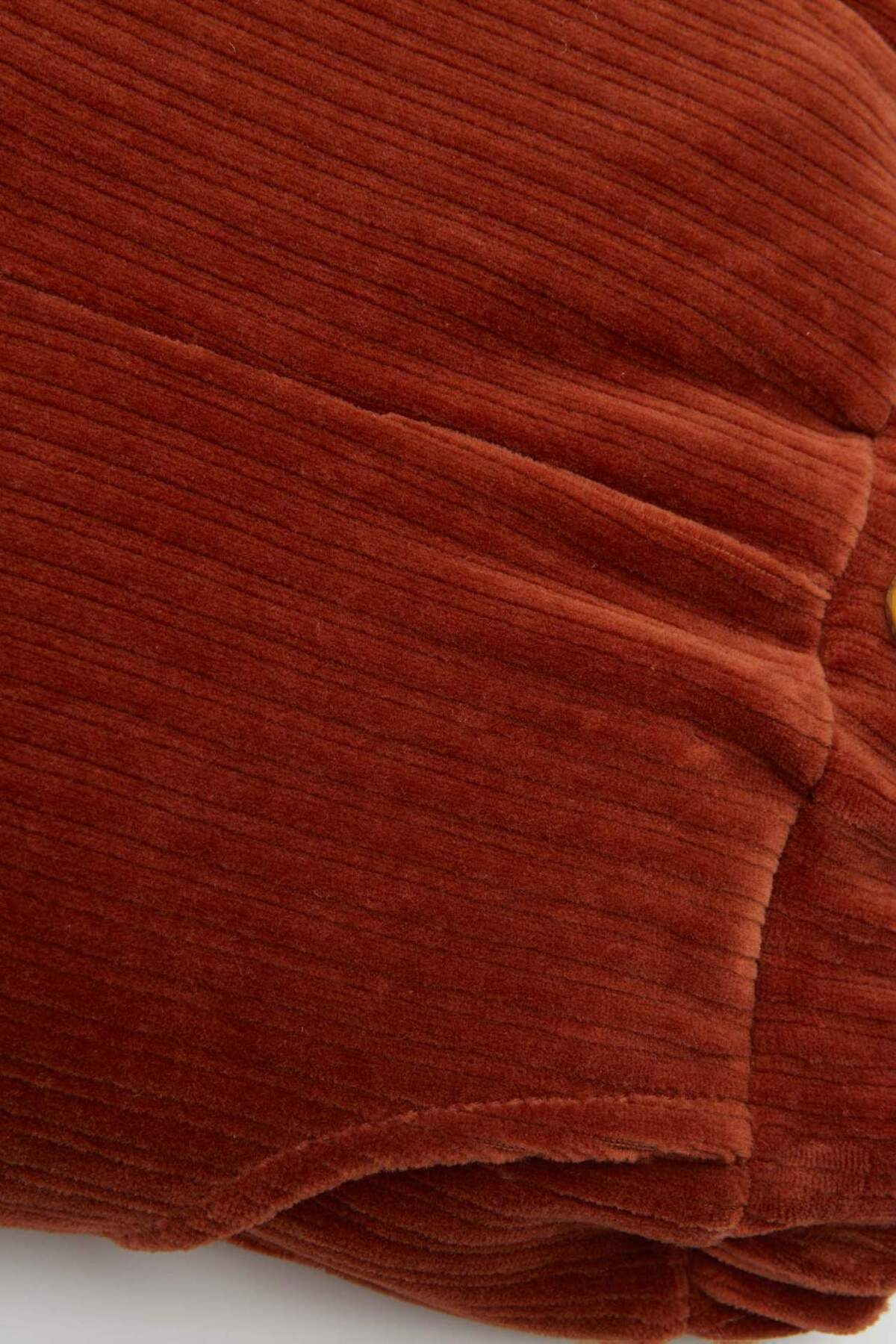 Defacto Beli Lastikli Fitilli Kadife Pantolon Kız Bebek D4996A524WN fotoğrafı 2 (önizleme)