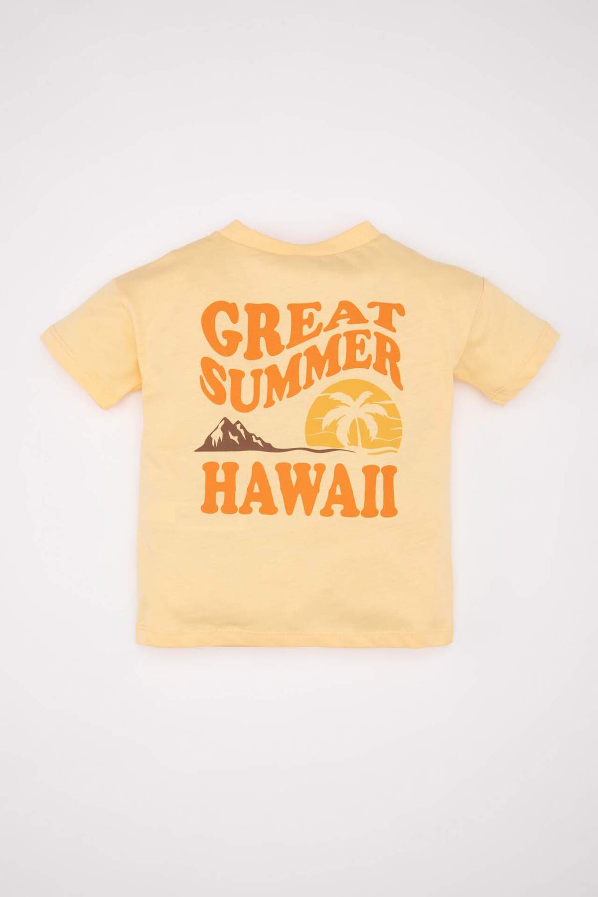 Defacto Bisiklet Yaka Sırt Baskılı Kısa Kollu Tişört Erkek Bebek D3849A524SM fotoğrafı 4 (önizleme)