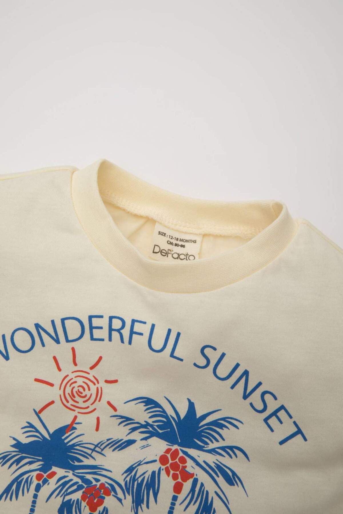 Defacto Erkek Bebek 2li Takım Palmiye Desenli Kısa Kollu Tişört Şort C9209A524SM fotoğrafı 6 (önizleme)