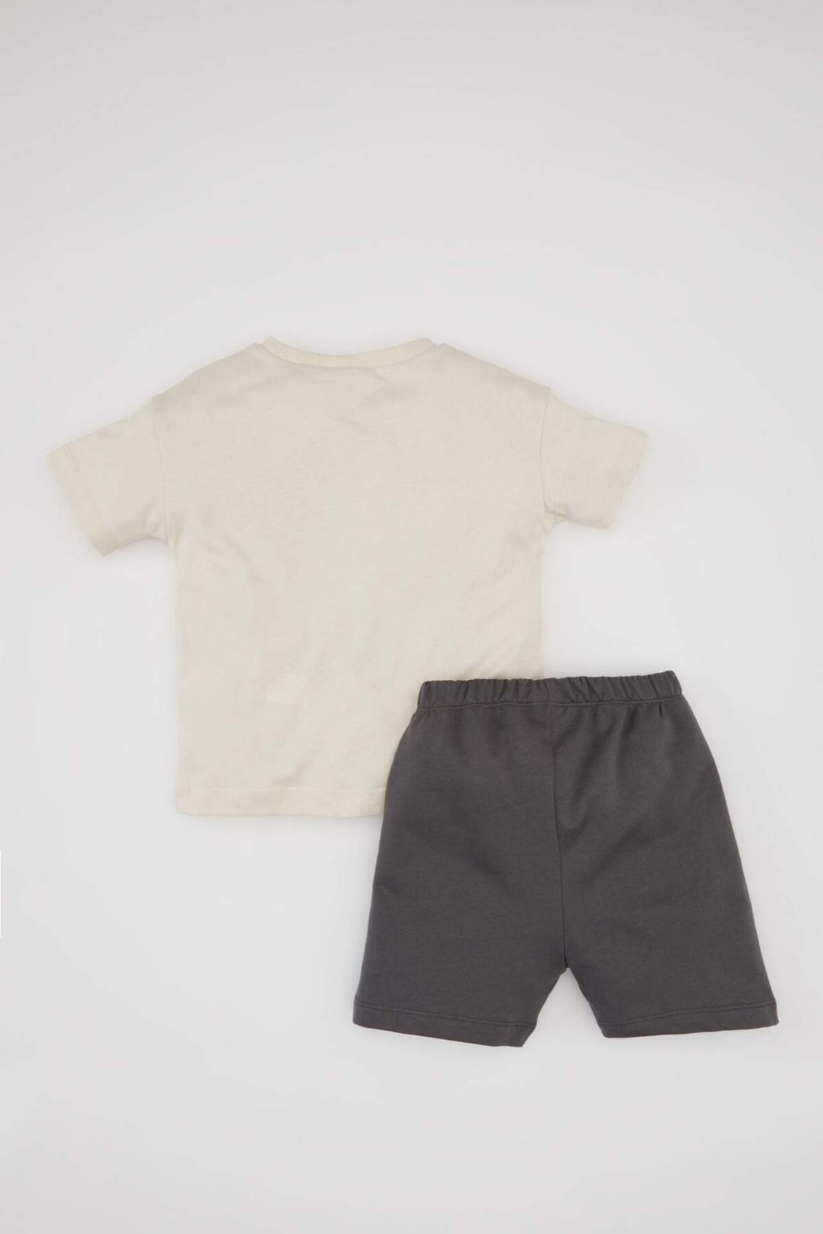 Defacto Erkek Bebek 2li Takım Hayvan Desenli Bisiklet Yaka Kısa Kollu Tişört Şort C0984A524SM fotoğrafı 5 (önizleme)