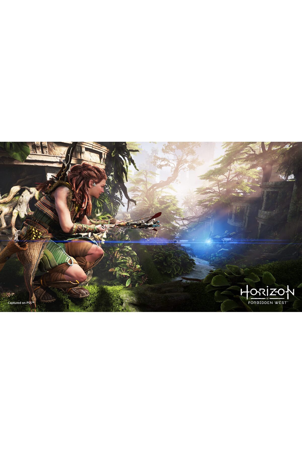 Hepta Collection Playstation Horizon Forbidden West (Ps5) - Fiyatı