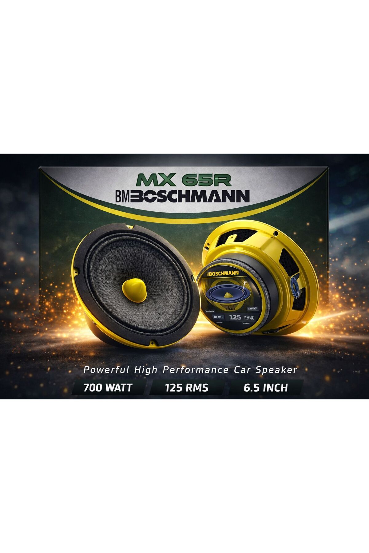 マッドマン　KISS プロモ2枚組CD 「トリビュート」&「Double」 Boschmann MX65R Oto Midrange 16CM 700 Watt (125 Rms) 2 Adet