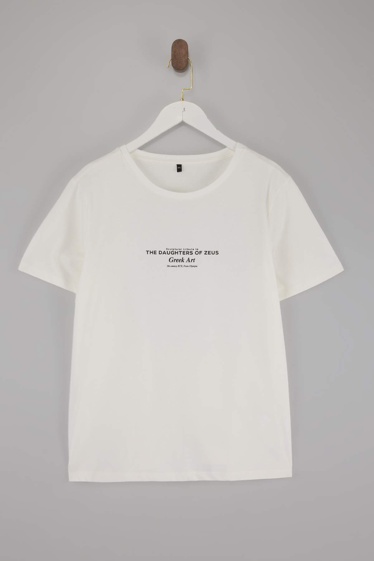 Trendyolmilla Curve Ekru Bisiklet Yaka Rönesans Baskılı Relaxed Fit Büyük Beden T-shirt TBBSS25BF00049
