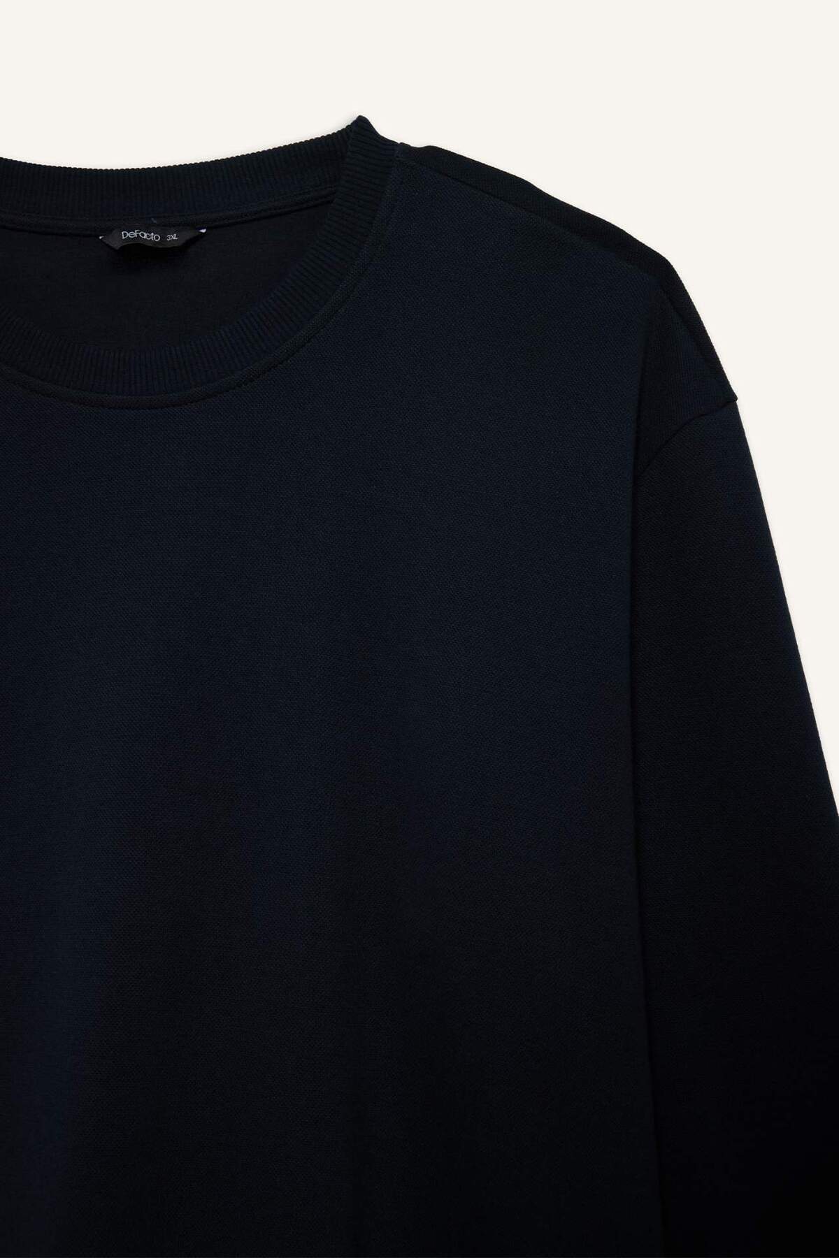 DeFacto Pamuklu Boxy Fıt Büyük Beden Bisiklet Yaka Pike Sweatshirt H1001AX26SP görsel 2
