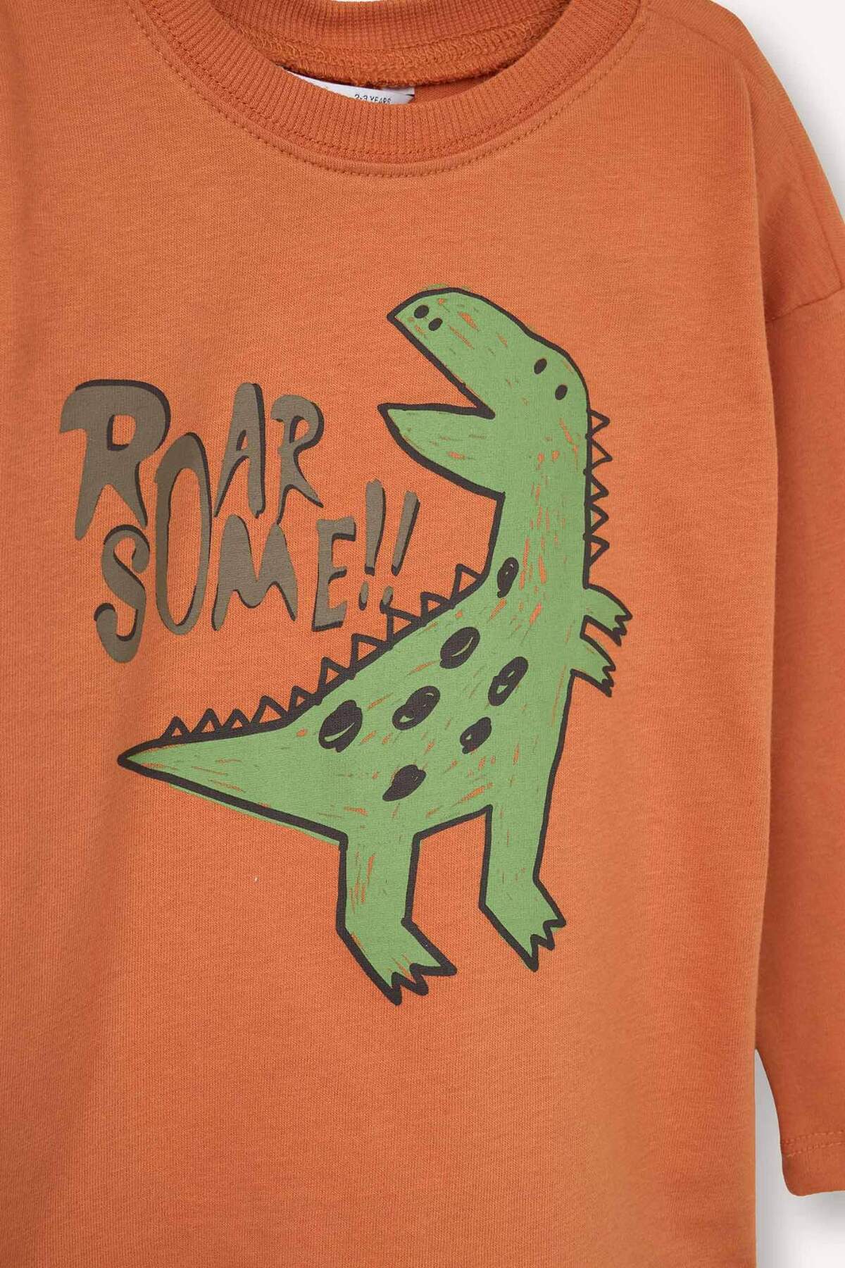 Defacto Long Sleeve T-Shirt (26 SP) fotoğrafı 3 (önizleme)