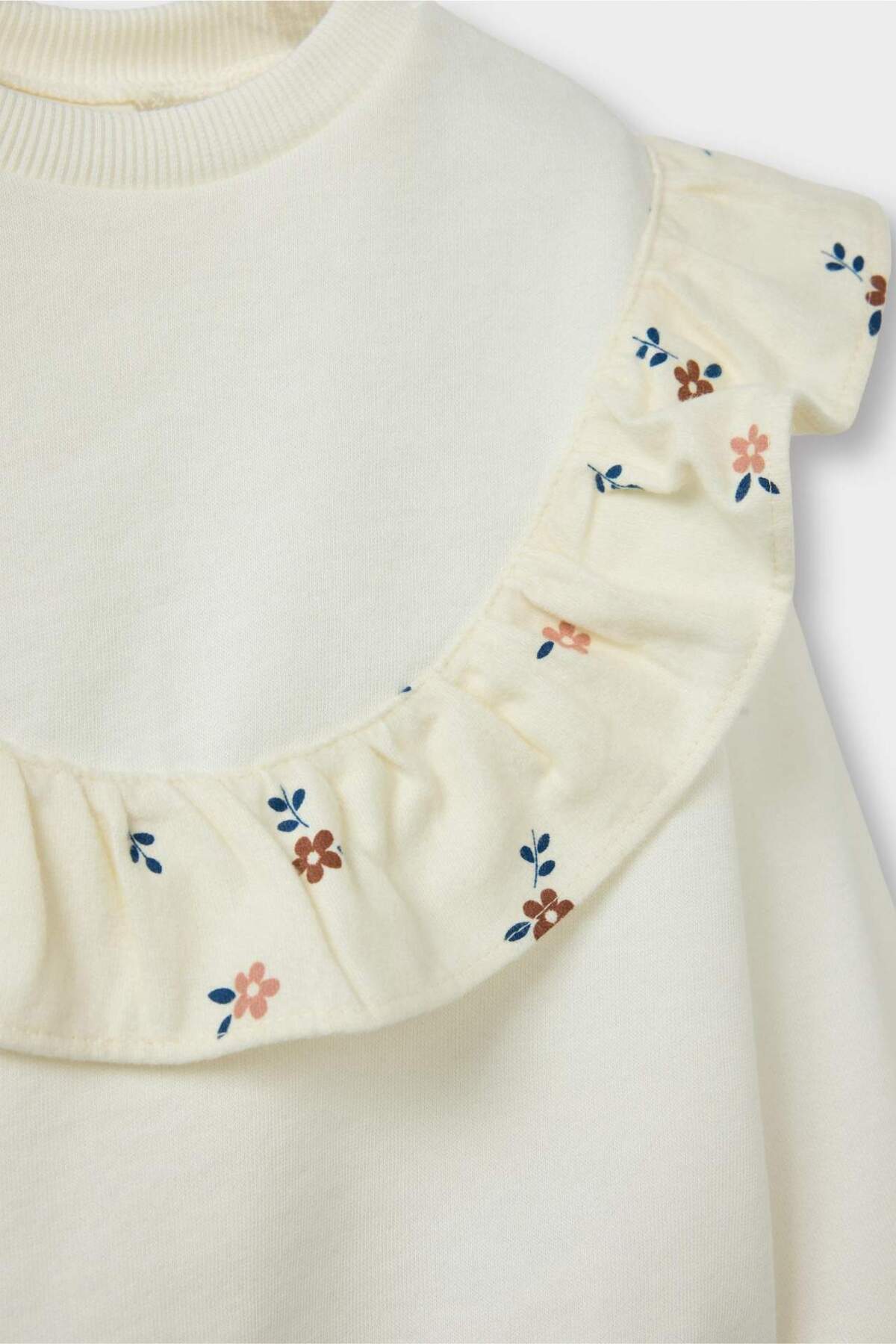 Defacto Overshirt Fit Bisiklet Yaka Çiçekli İçi Yumuşak Tüylü Sweatshirt Kız Bebek G6836A525CW fotoğrafı 5 (önizleme)