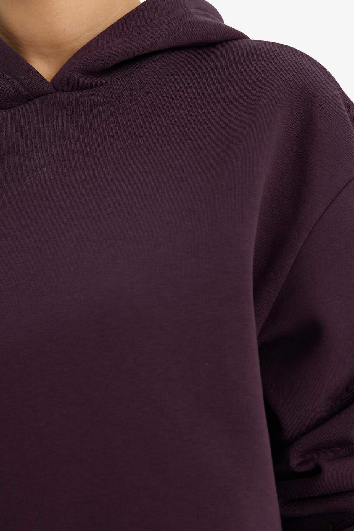 Defacto  Relax Fit Kapüşonlu Basıc Kalın Sweatshirt D9935AX25WN - Görsel 5