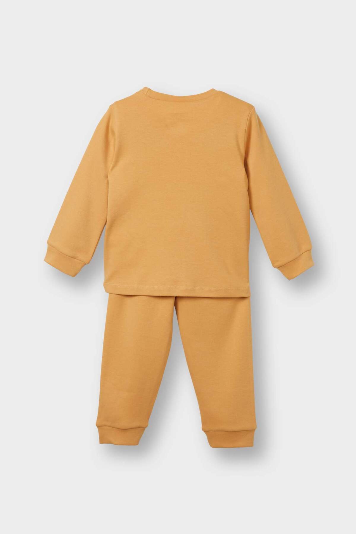 Defacto %100 Pamuklu Aslan Baskılı Beli Lastikli Pijama Takımı Erkek Bebek F0551A525AU fotoğrafı 4 (önizleme)