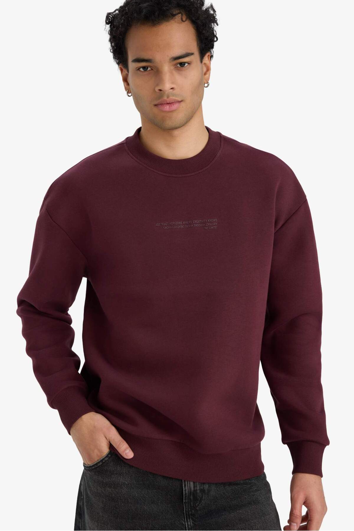 DeFacto Boxy Fit Bisiklet Yaka İçi Yumuşak Tüylü Baskılı Sweatshirt X8282AZ25AU