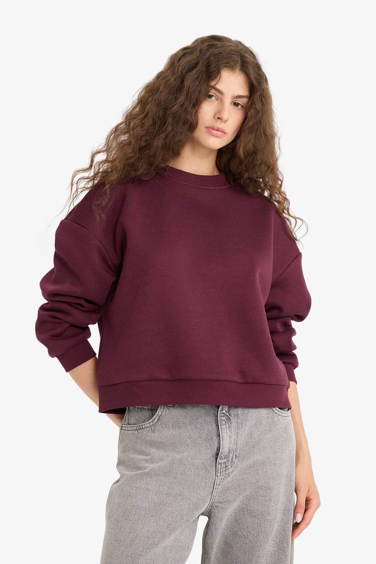 Defacto  Regular Fit Bisiklet Yaka Kalın Basic Düz Sweatshirt D6645AX25WN - Görsel 4