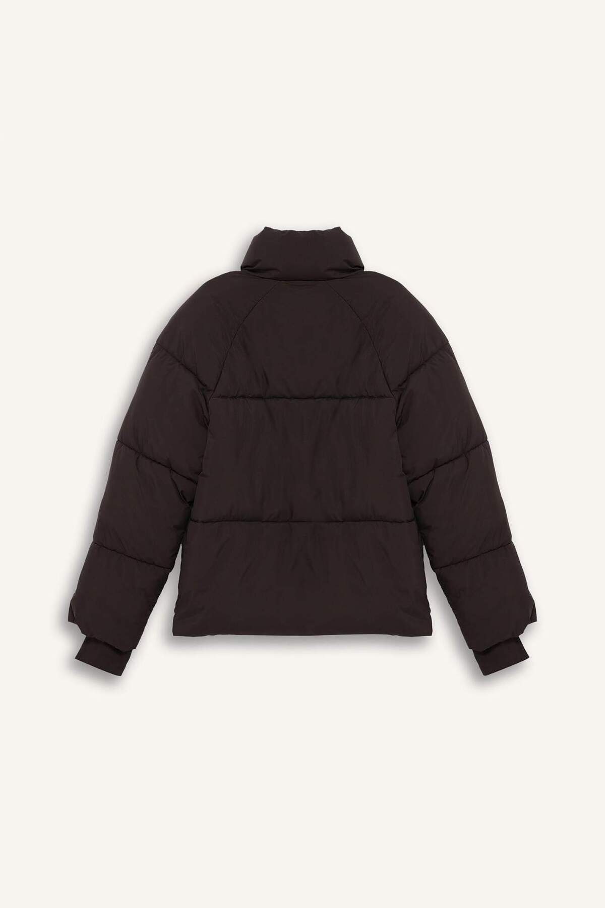 Defacto  Su İtici Regular Fit Dik Yaka Reglan Kol Kışlık Şişme Mont A1550AX25WN - Görsel 8