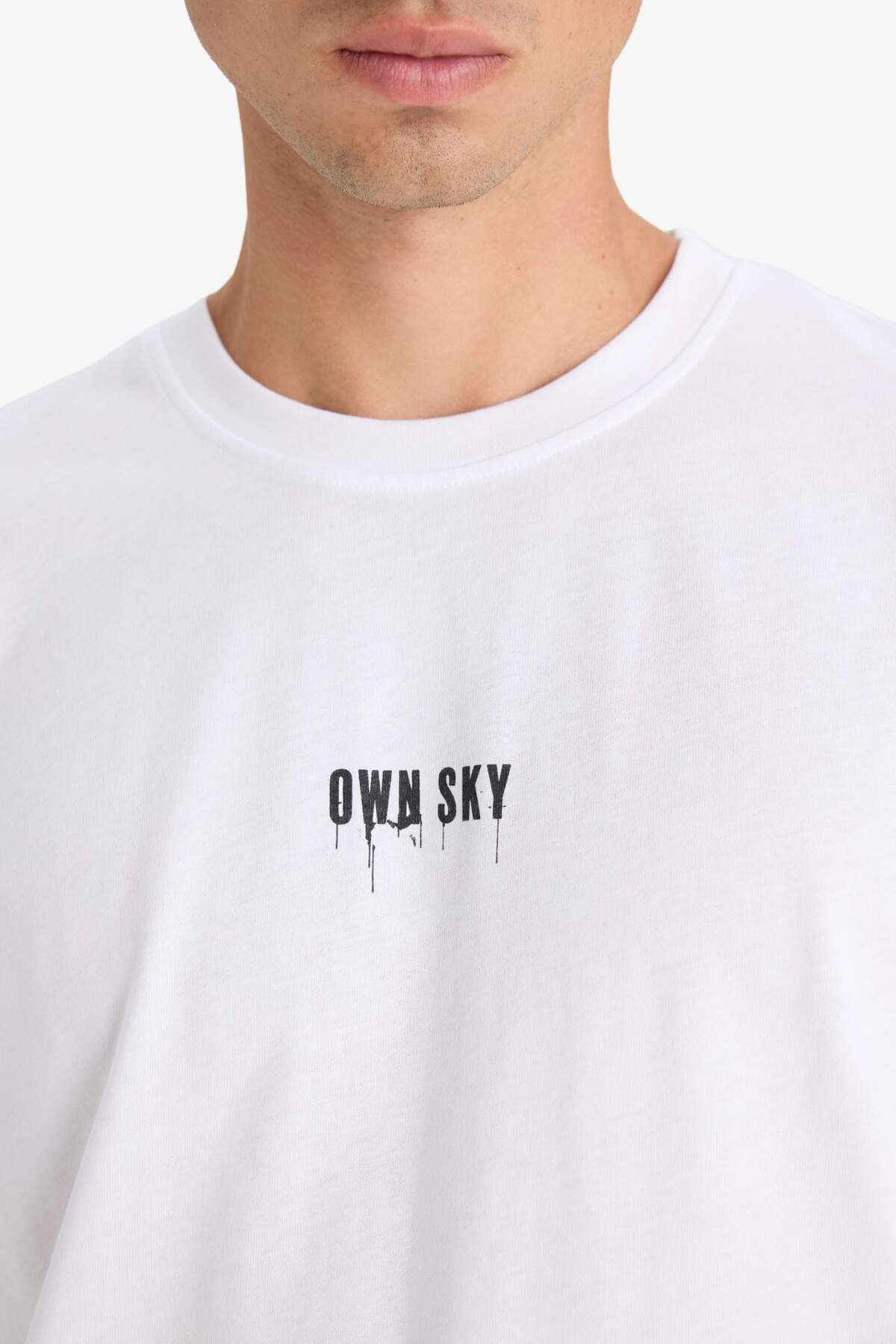 Defacto  %100 Pamuk Boxy Fit Bisiklet Yaka Sırt Baskılı Kısa Kollu Tişört F8649AX25HS - Görsel 5