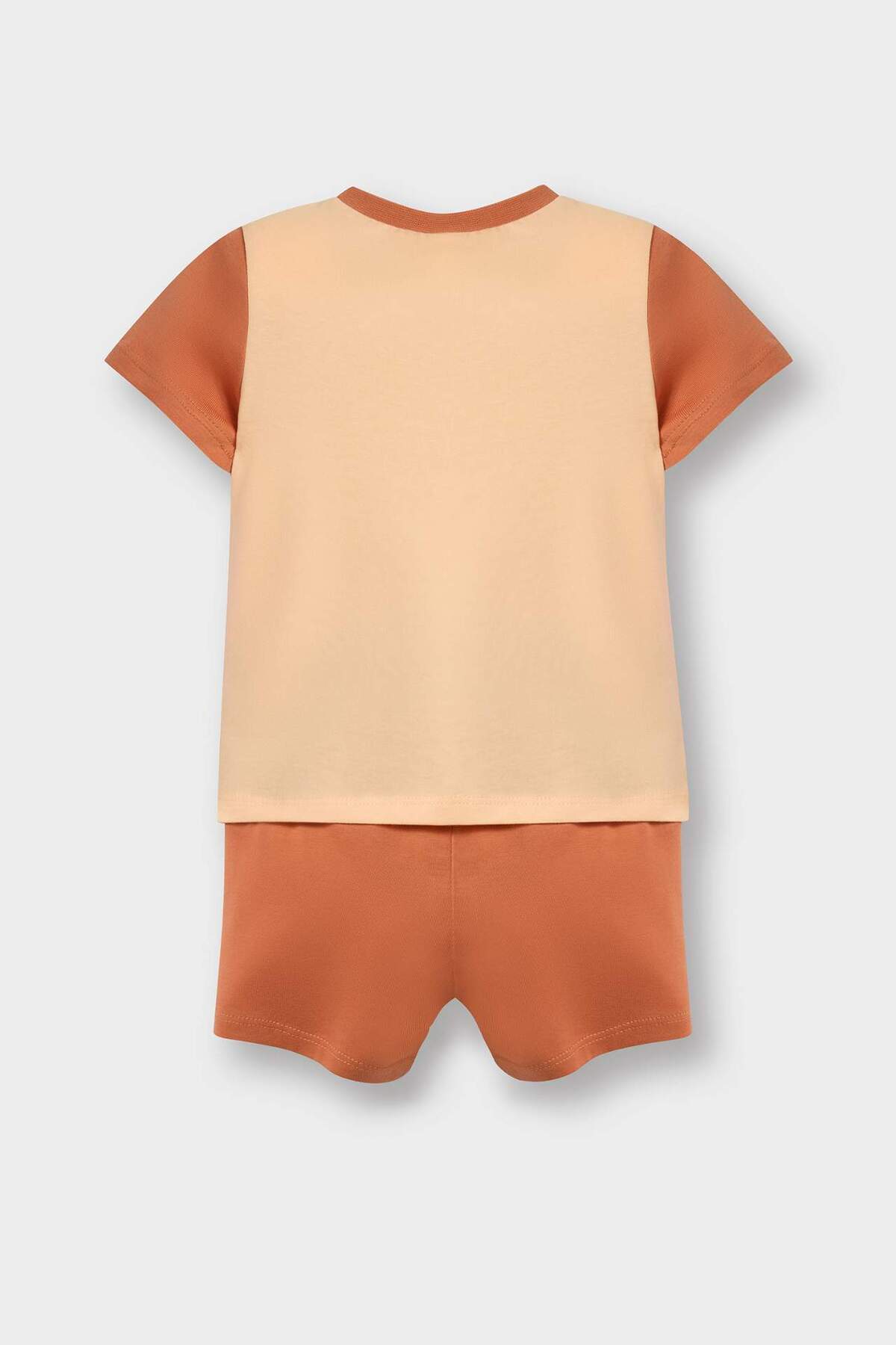 Defacto %100 Pamuklu Aslan Baskılı Beli Lastikli Pijama Takımı Erkek Bebek E1190A525HS fotoğrafı 4 (önizleme)