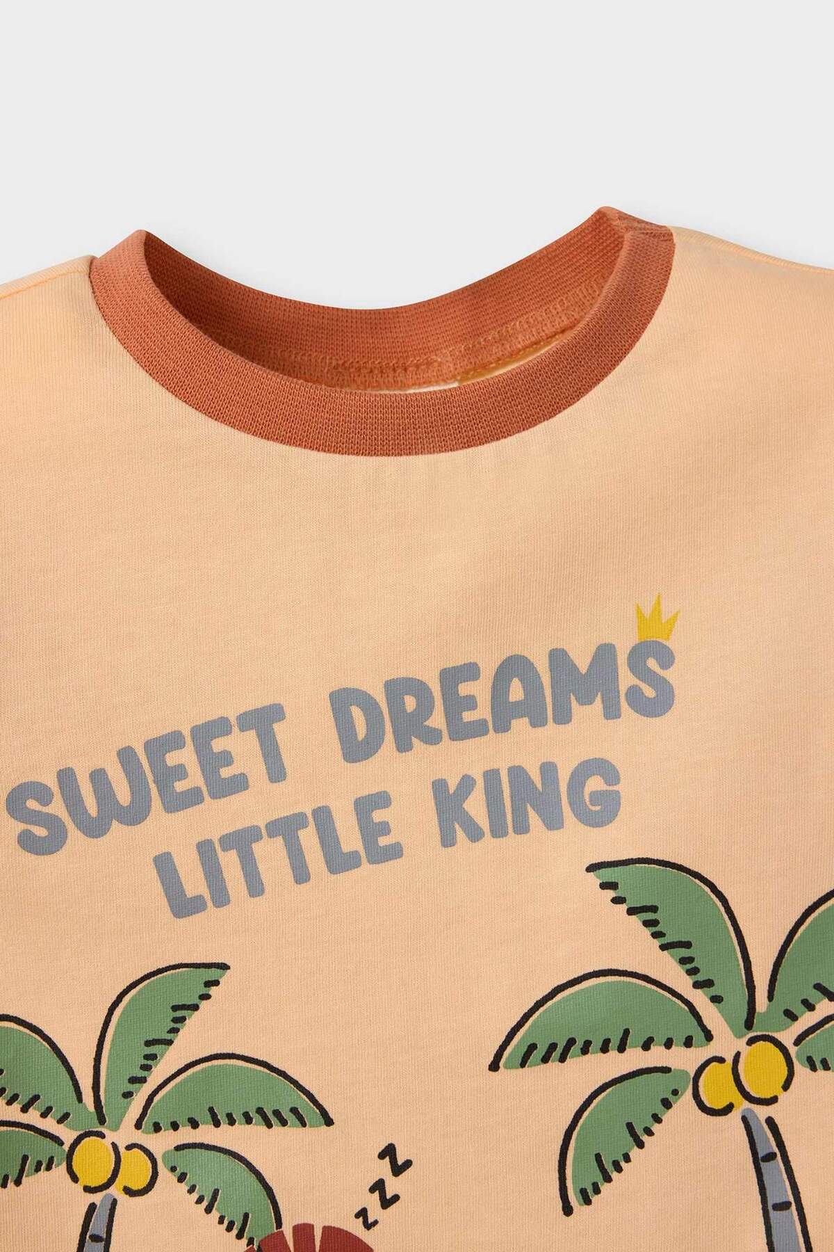 Defacto %100 Pamuklu Aslan Baskılı Beli Lastikli Pijama Takımı Erkek Bebek E1190A525HS fotoğrafı 3 (önizleme)