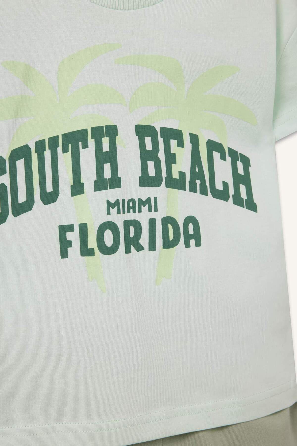 Defacto 2'li Takım Baskılı Kısa Kollu Tişört Beli Lastikli Şort Erkek Bebek E2801A525SM fotoğrafı 4 (önizleme)