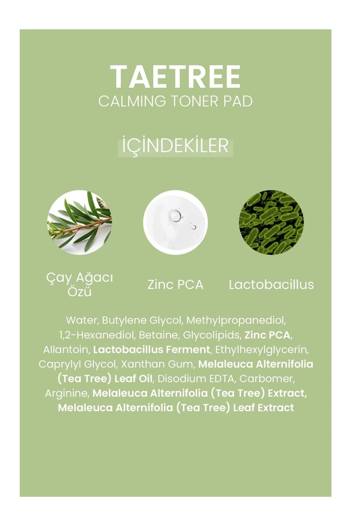 Çay Ağacı Siyah Nokta Karşıtı Tonik Pedi 12 Adet Sebum Kontrol Yatıştırıcı Cilt Bakım Pedi — DERMAL/PAD/012 — تصویر 7 از 7
