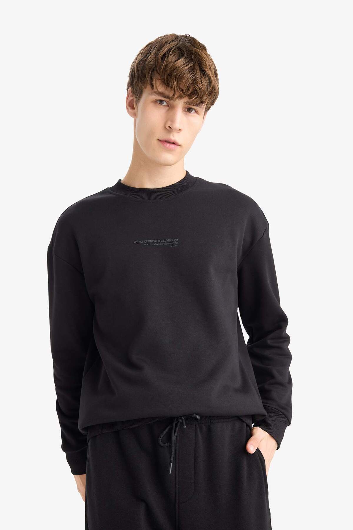 Defacto  Boxy Fit Bisiklet Yaka Baskılı Sweatshirt X8282AZ23AU - Görsel 3