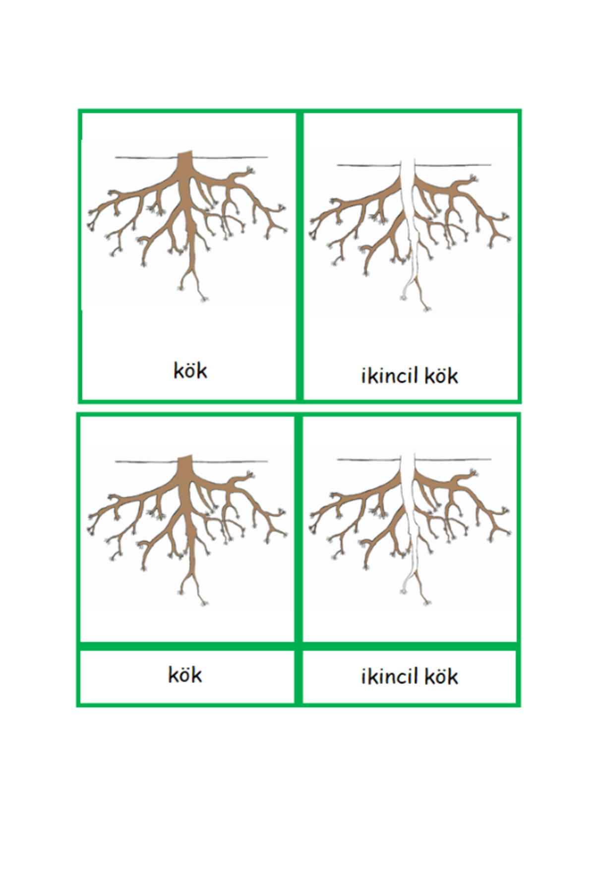 Empressco Montessori Kozmik Kökün Kısımları Kartları fotoğrafı 2 (önizleme)
