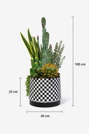 çiçek rengi dekor Premium Dekoratif Yapay Kaktüs Aranjmanı – 100 cm Büyük Boy...