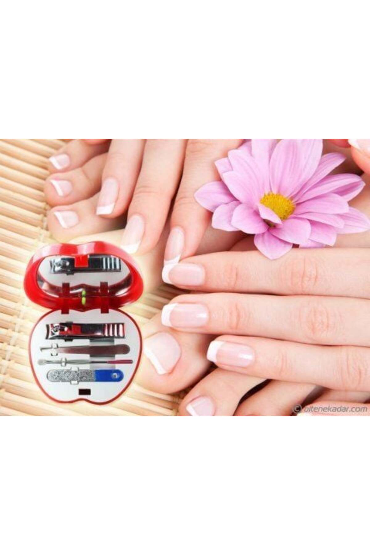 Practika 8.5 Cm Elma Şeklinde Manikür Pedikür Seti 4 Parça Paslanmaz Çelik Bakım Seti fotoğrafı 3 (önizleme)