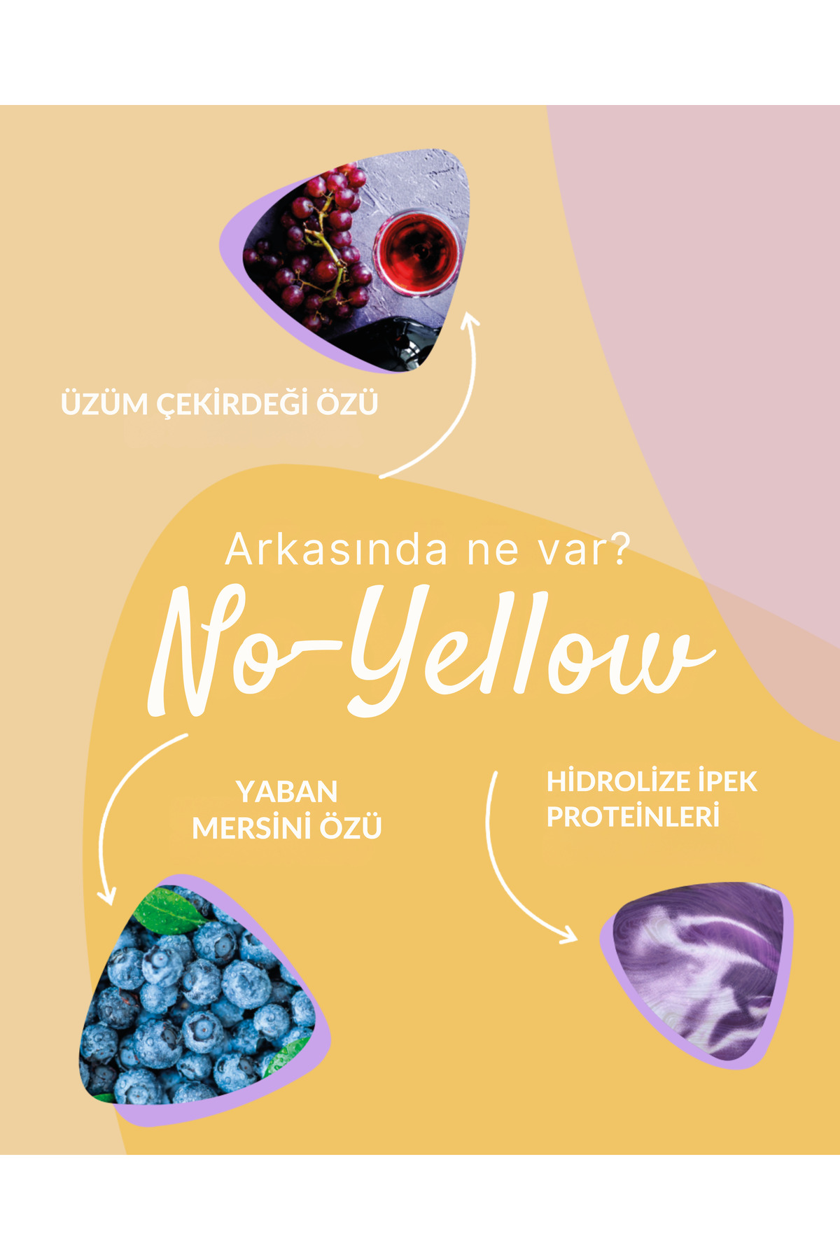 Blondesse No-yellow (SİLVER) Maske 100ml — 8008277262635 — تصویر 4 از 5