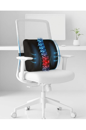 MİYA MEDİKAL Ortopedik Bel ve Sırt Minderi Ofis ve Araç Koltuğu Destek Yastığı