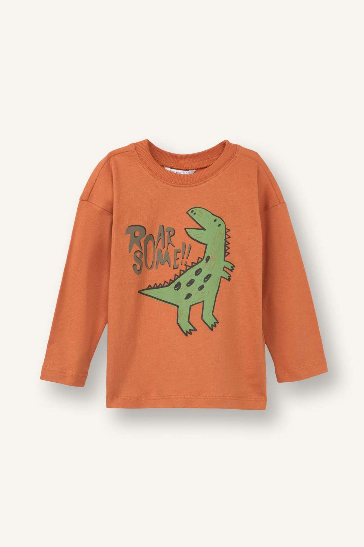 Defacto Long Sleeve T-Shirt (26 SP) fotoğrafı 2 (önizleme)