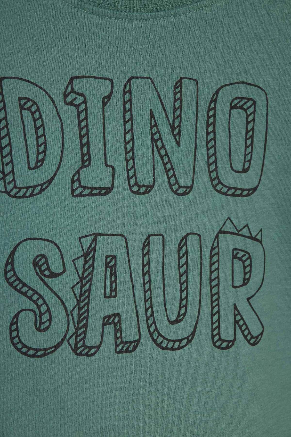 Defacto Long Sleeve T-Shirt (26 SP) fotoğrafı 6 (önizleme)