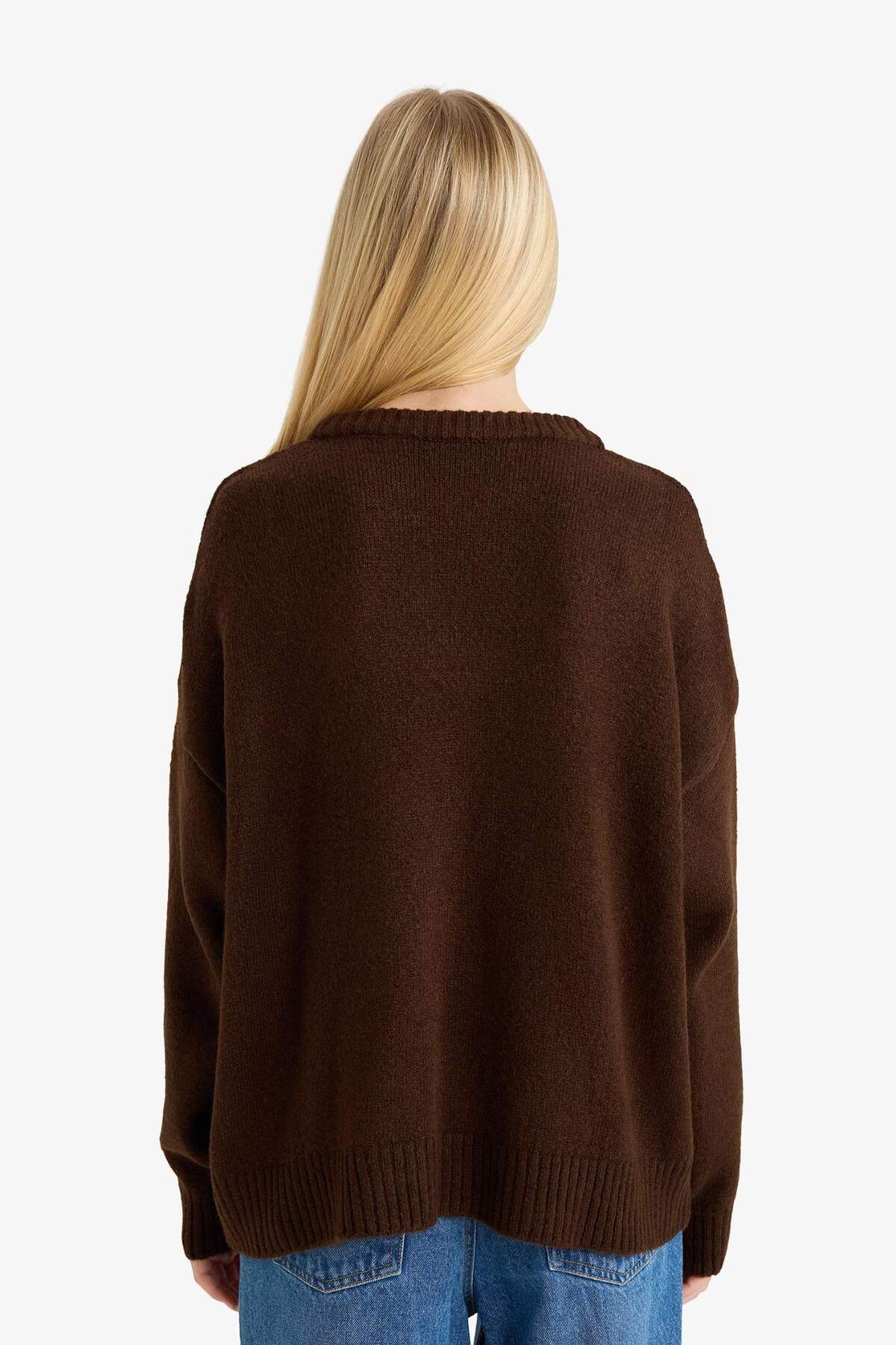 Defacto  Regular Fit Bisiklet Yaka Köpek Desenli Triko Kazak G6225AX25WN - Görsel 5